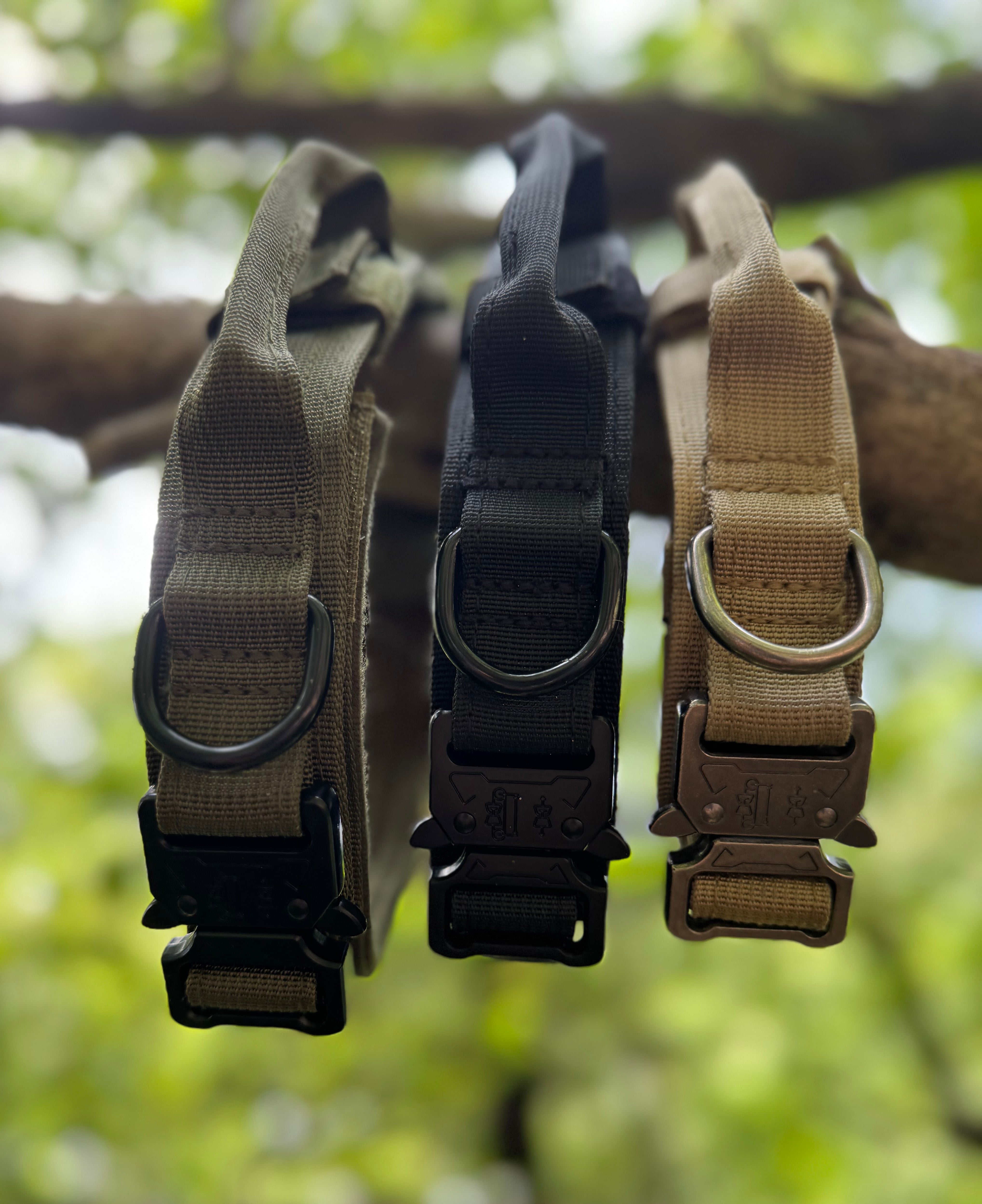 TrailTrek™ Everyday Collar